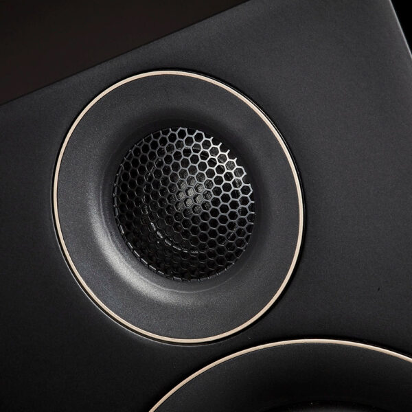 PMC Prodigy 5 Standlautsprecher - tweeter