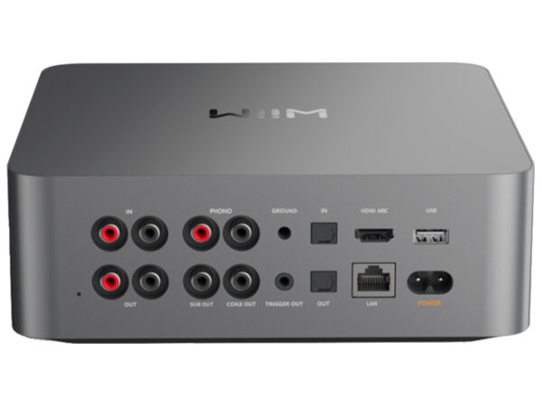 Wiim Ultra - Back panel view with connectors - space grey